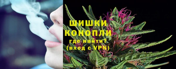 бутират Каменка