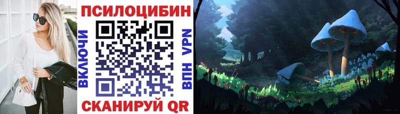 Купить где  Сельцо  Псилоцибиновые грибы мухоморы 