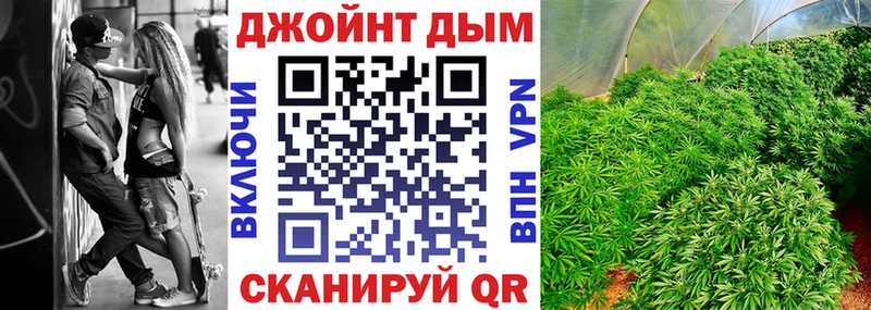 Каннабис сатива  Купить  Сельцо 